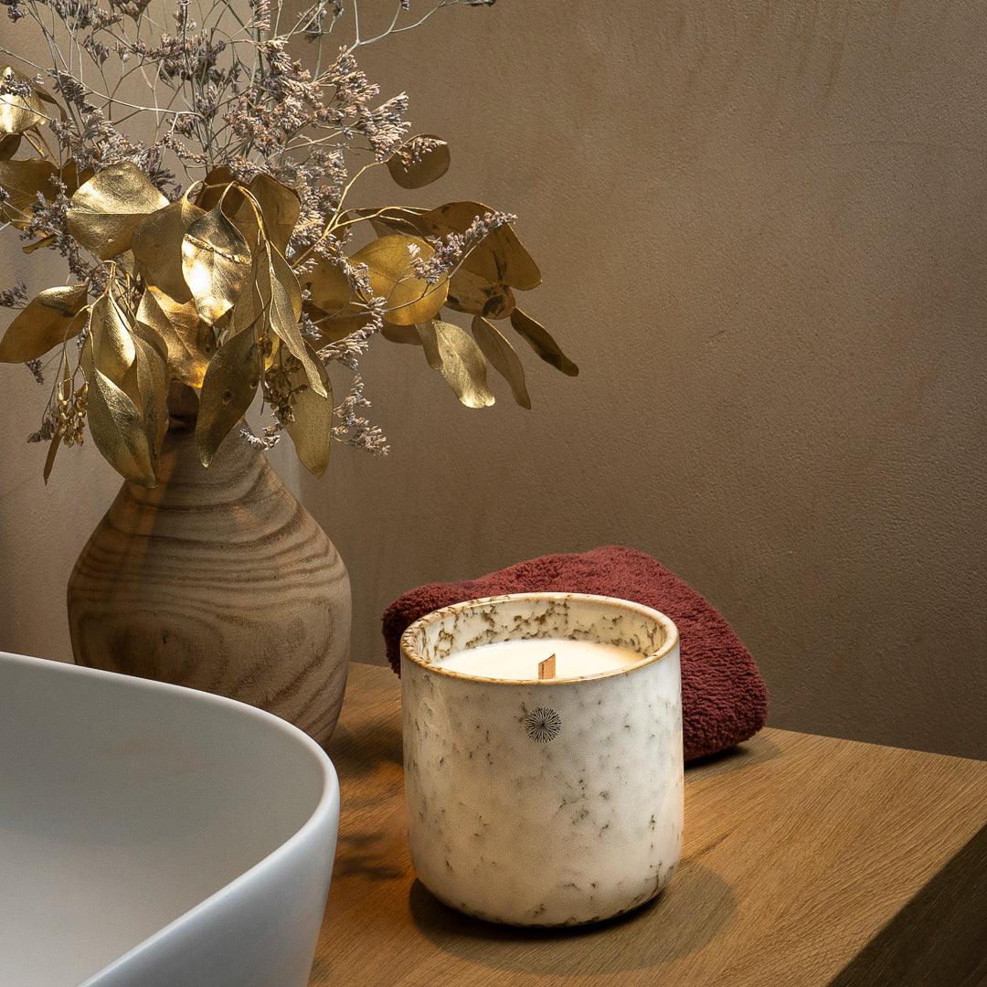 ASTER - Ateljee Alice