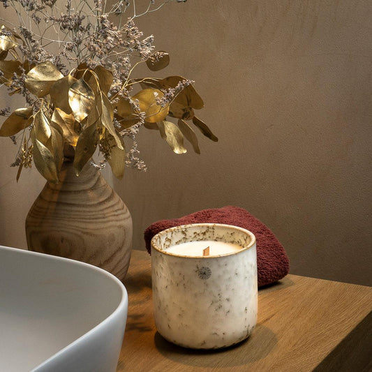 ASTER - Ateljee Alice