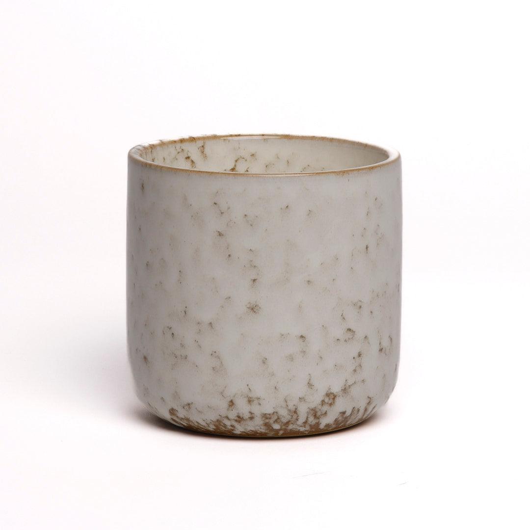 ASTER - Ateljee Alice