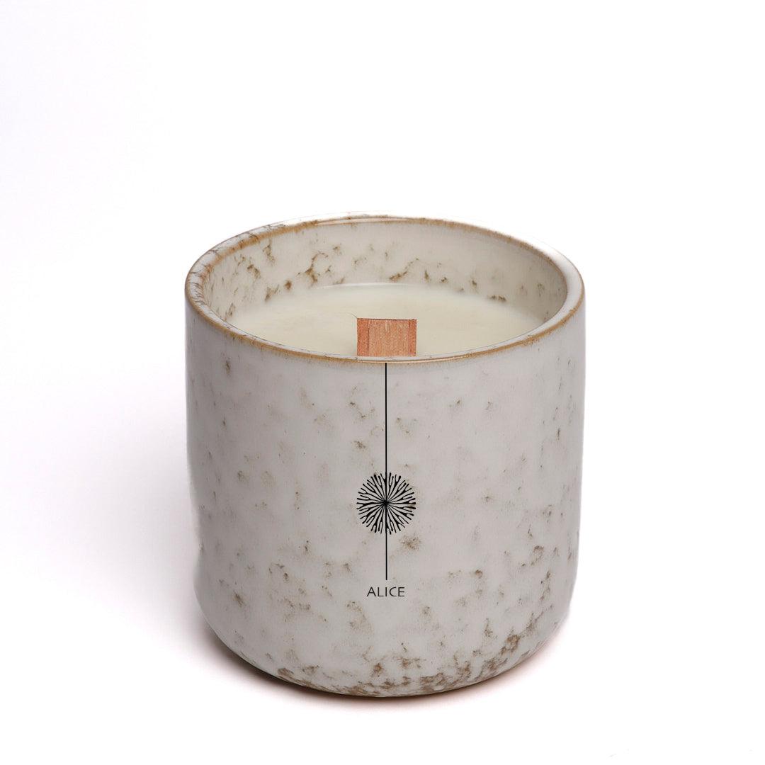 ASTER - Ateljee Alice